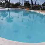 Vegas503 *
